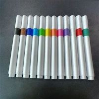 Pena Akrilik DIY Dengan 12 Warna
